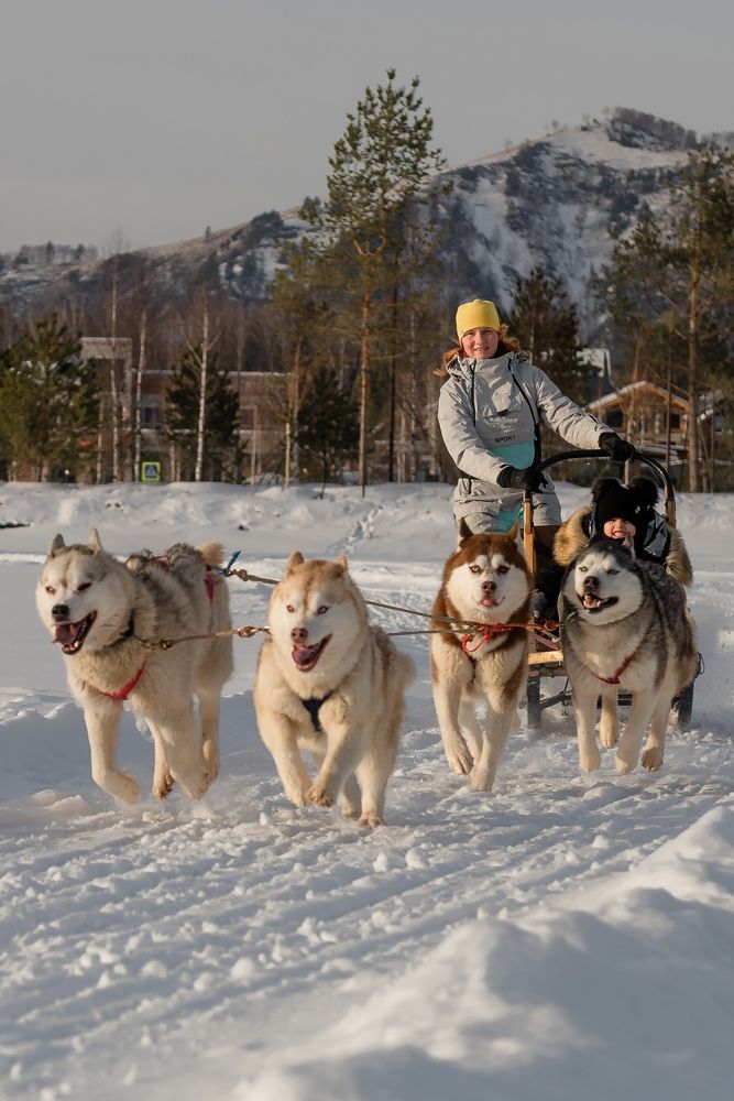 Photograph by Ольга Фесак