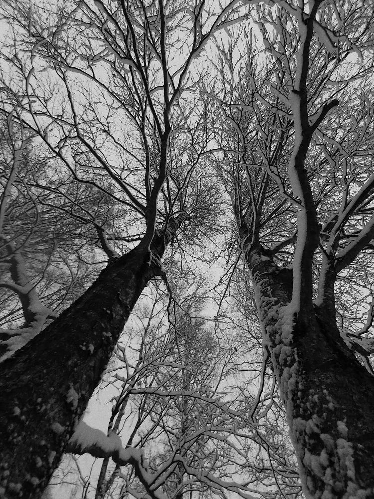 Фотография автора Алёна Михайлова