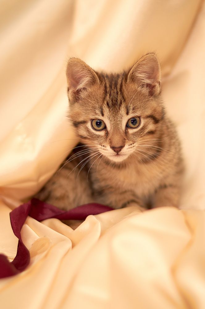 Photograph by Маргарита Гасец