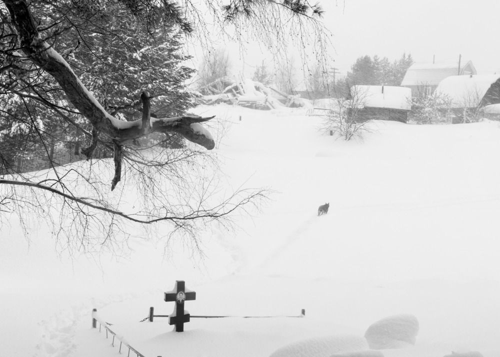 Photograph by Константин Гончаров