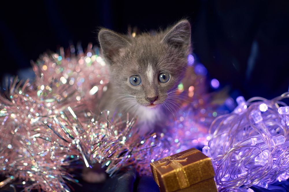 Photograph by Маргарита Гасец