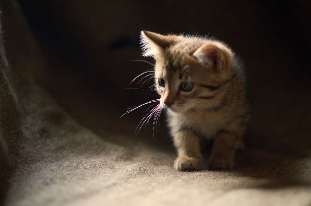 Photograph by Маргарита Гасец