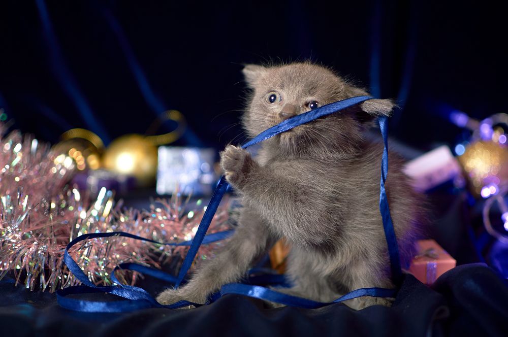 Photograph by Маргарита Гасец