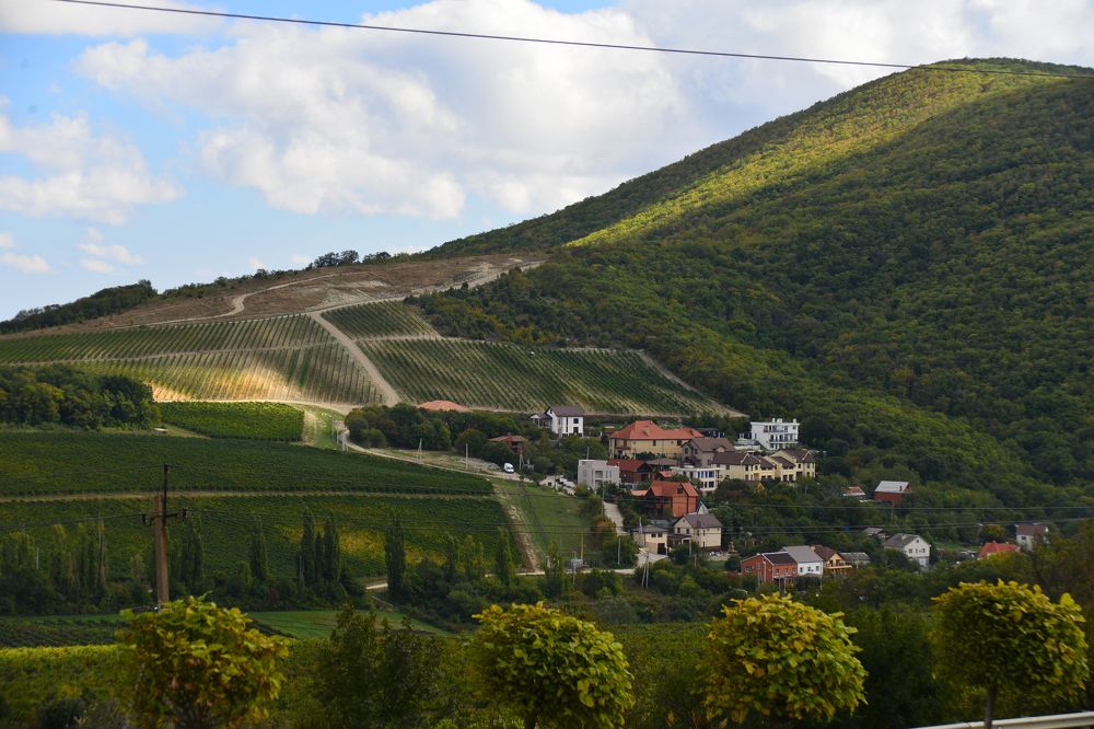 Photograph by Владимир kolpakov