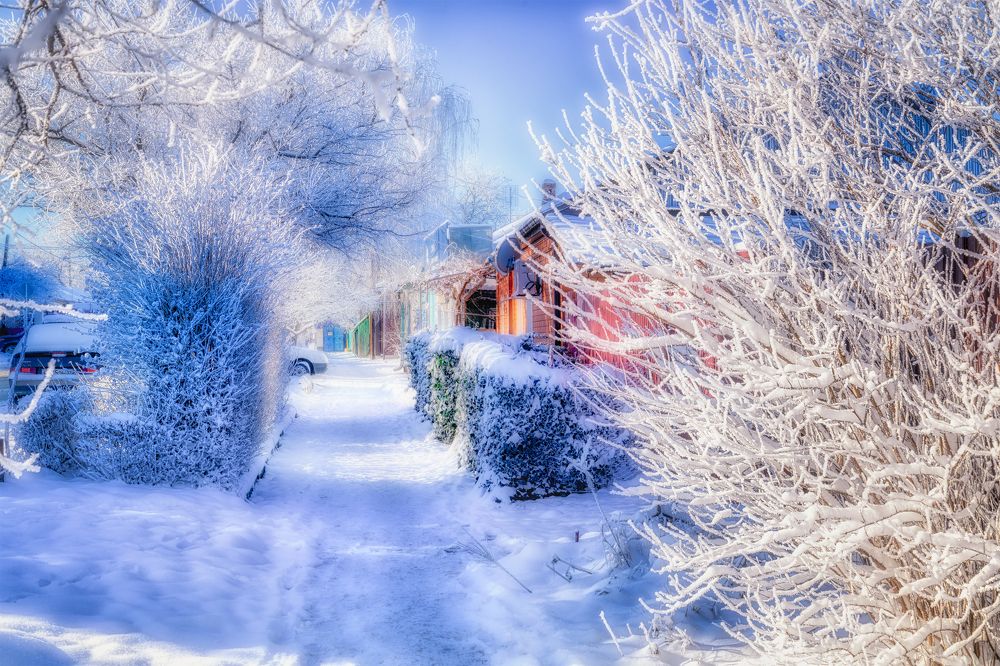 Photograph by Владимир Кваша