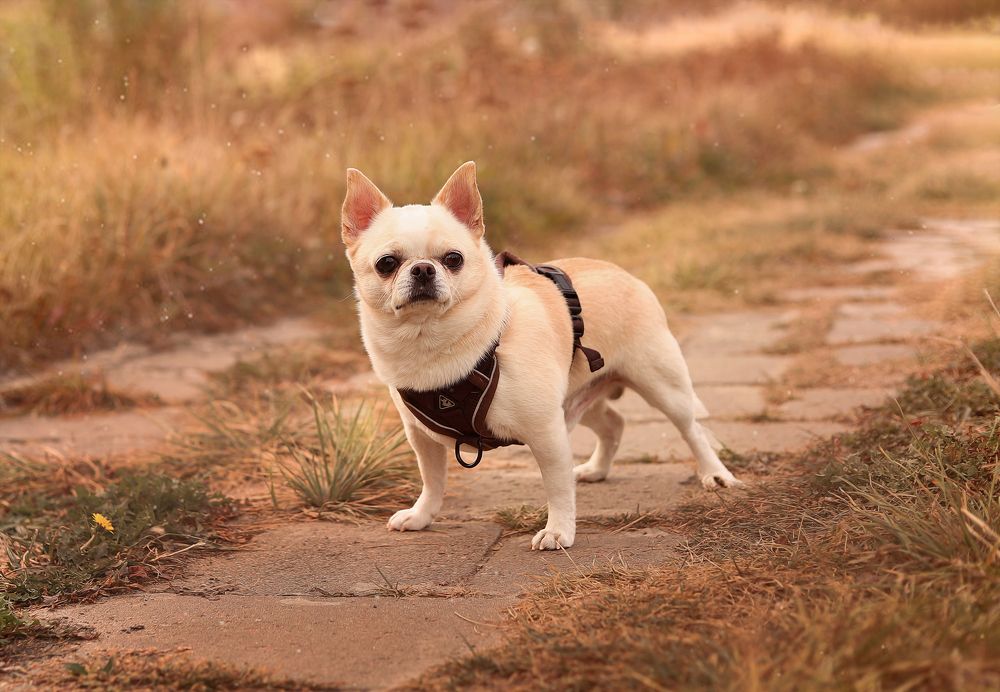 Photograph by Mary Ryzhenkova