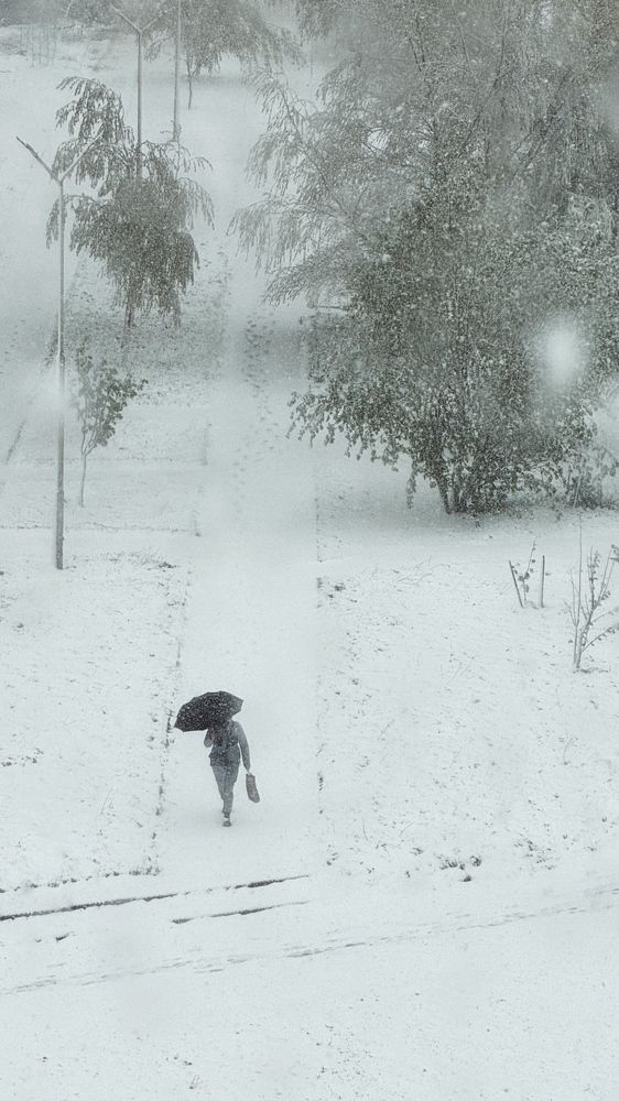 Фотография автора Елена Поживилко