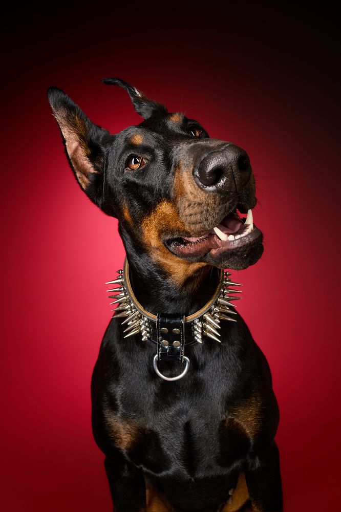 Фотография автора Александр Ульянов