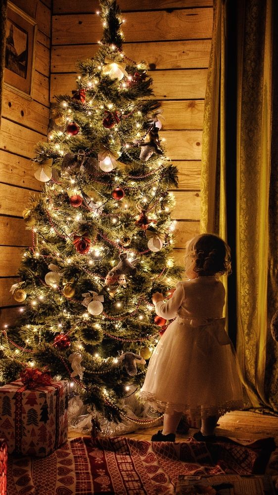 Photograph by Romanov Vyacheslav