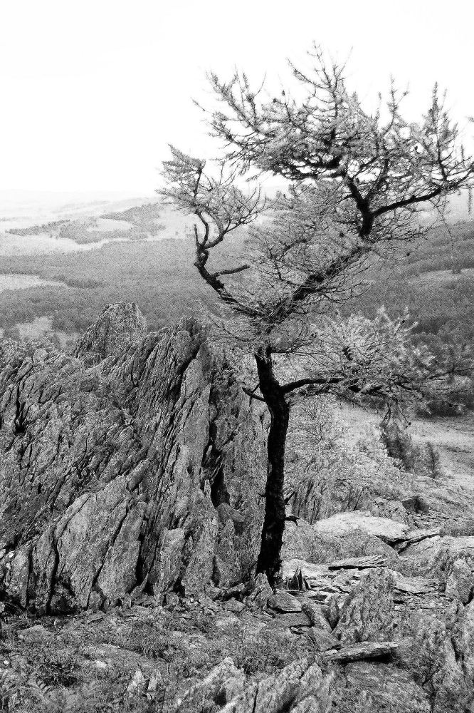 Photograph by Фарит Зиатдинов