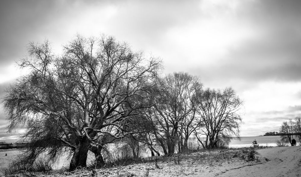 Photograph by Ольга Сафронова