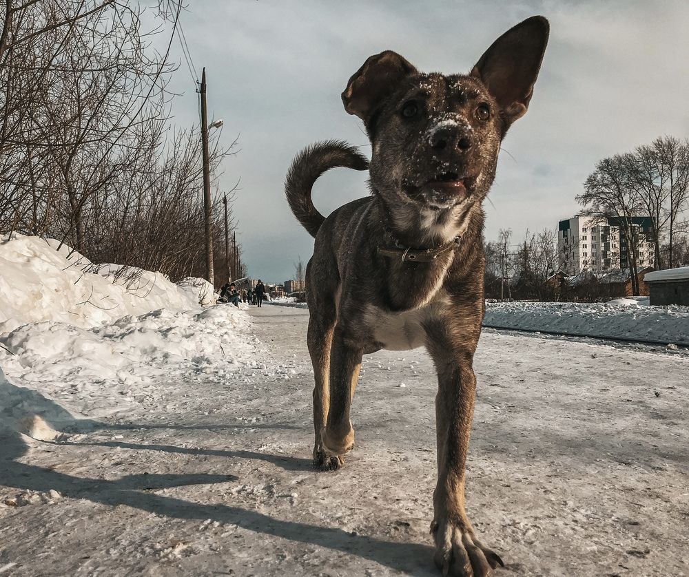 Photograph by Дмитрий Гришкевич