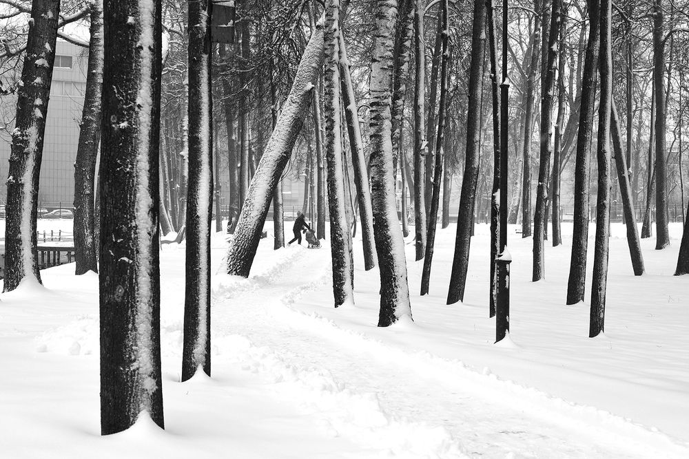 Photograph by Надежда Пухова