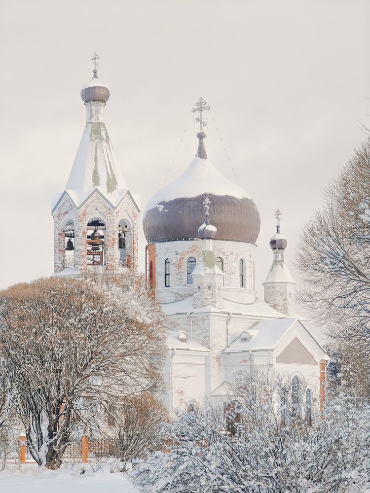 Photograph by Данилова Наталья