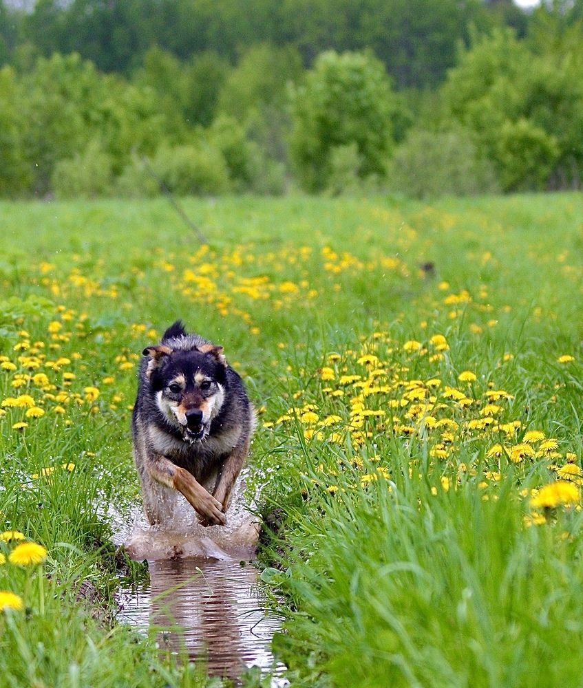 Photograph by Елена Смирнова