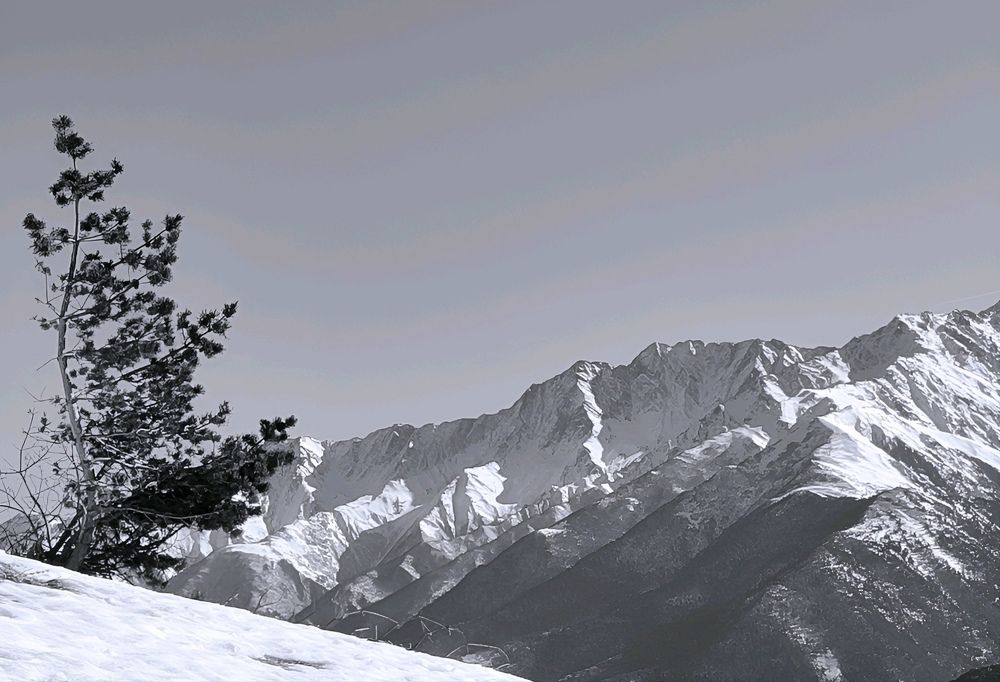 В горах Ингушетии