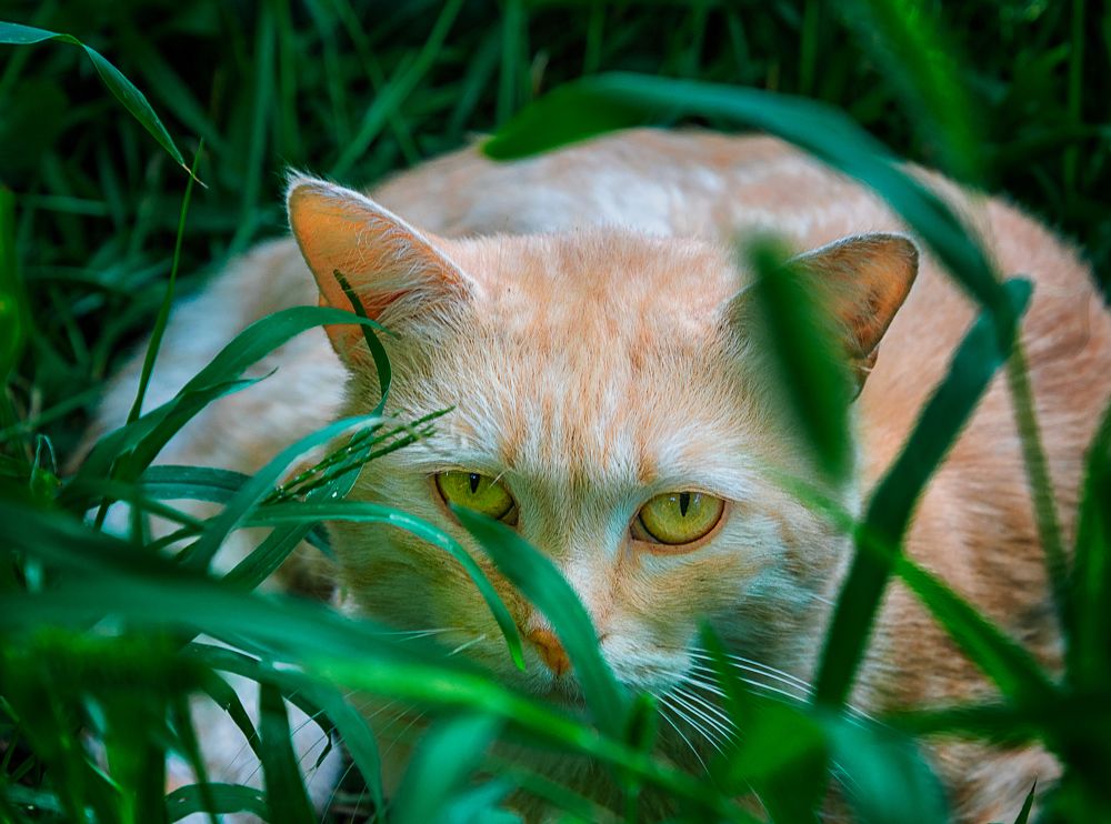 Photograph by Владимир Кваша