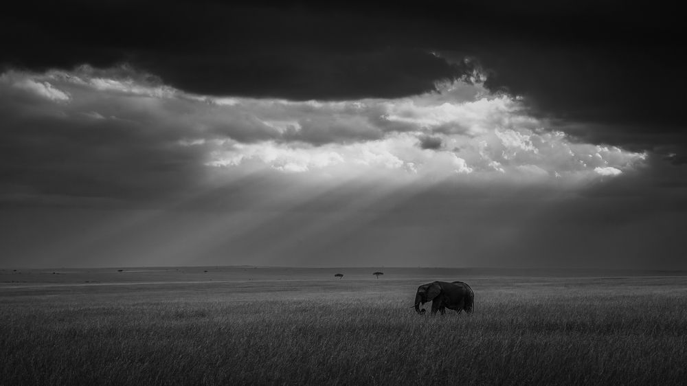 Photograph by Jayakumar MN