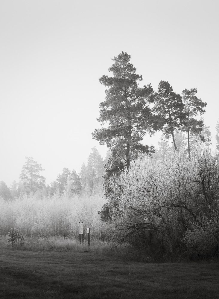 Photograph by Иван Мосьянов