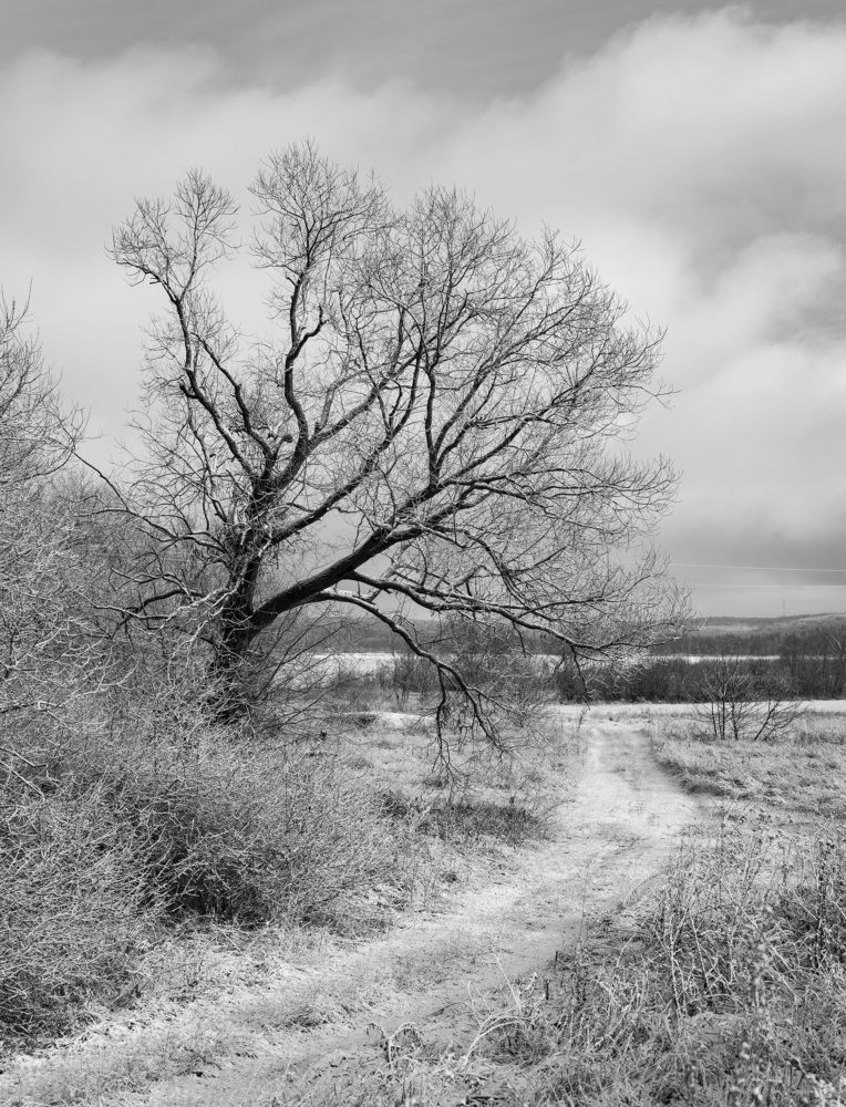 Photograph by Иван Мосьянов