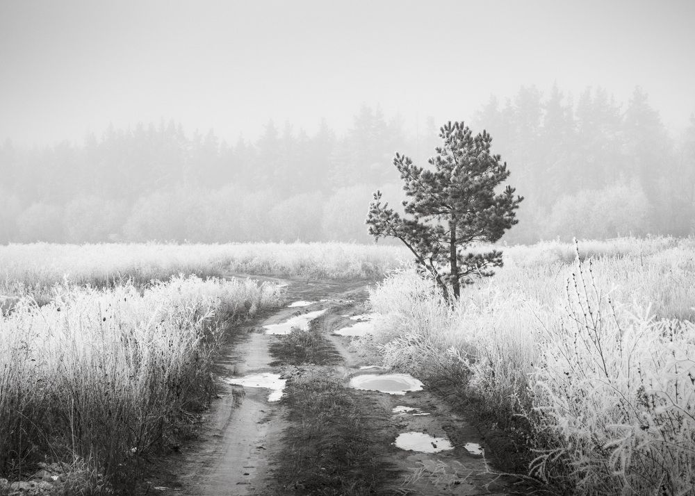 Photograph by Иван Мосьянов