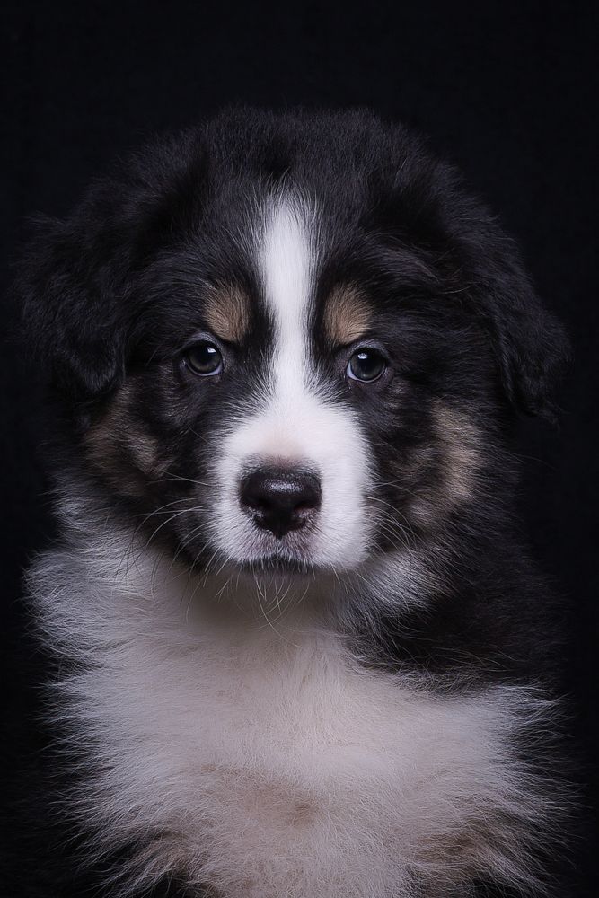 Photograph by наталья залогина