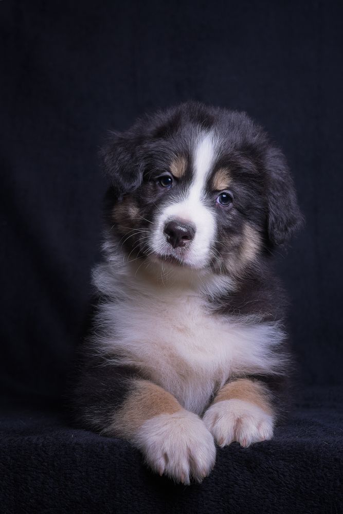 Photograph by наталья залогина