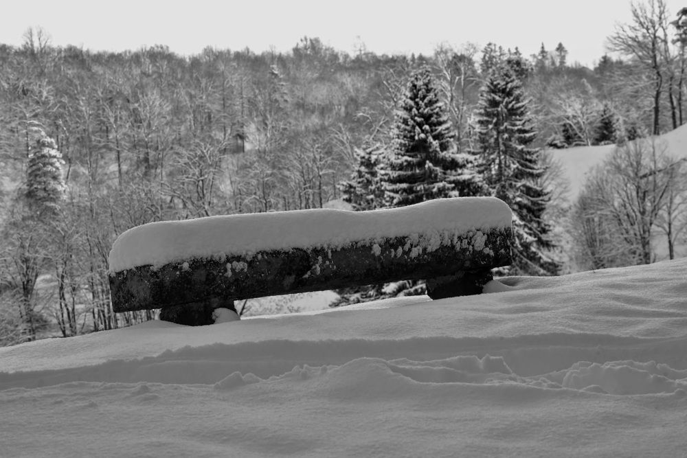 Photograph by Ljudmilla Pavljutsenkova