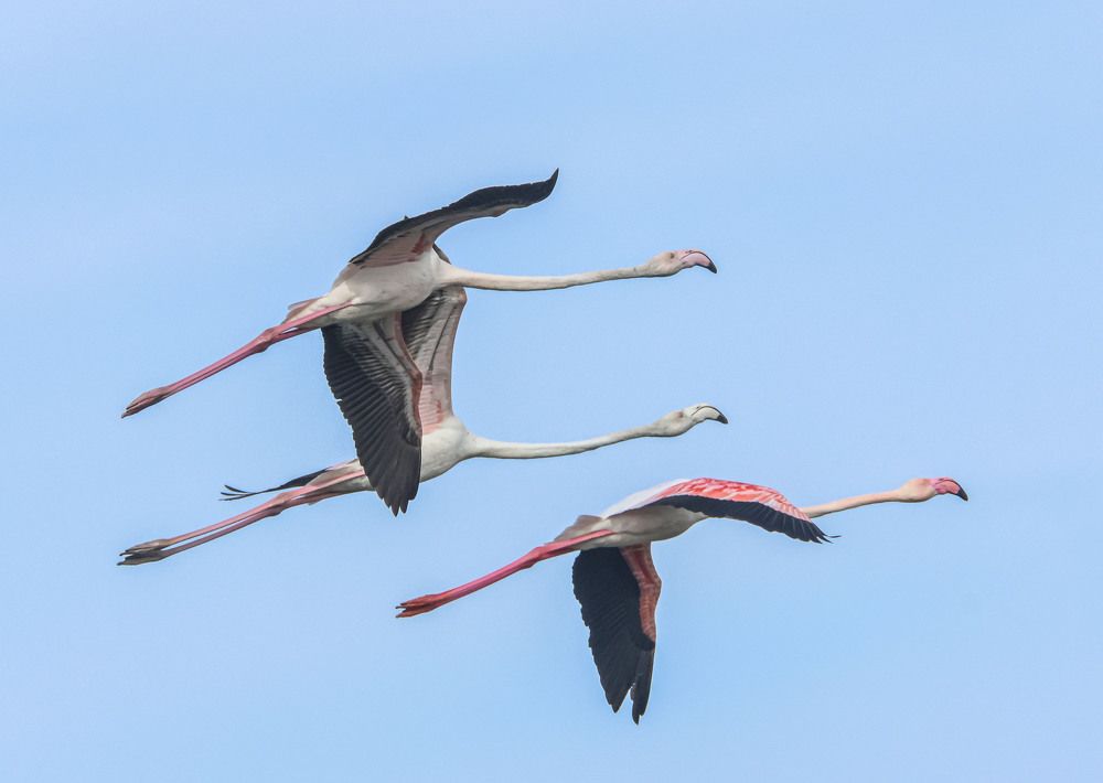 Photograph by Валентина Лопаткина