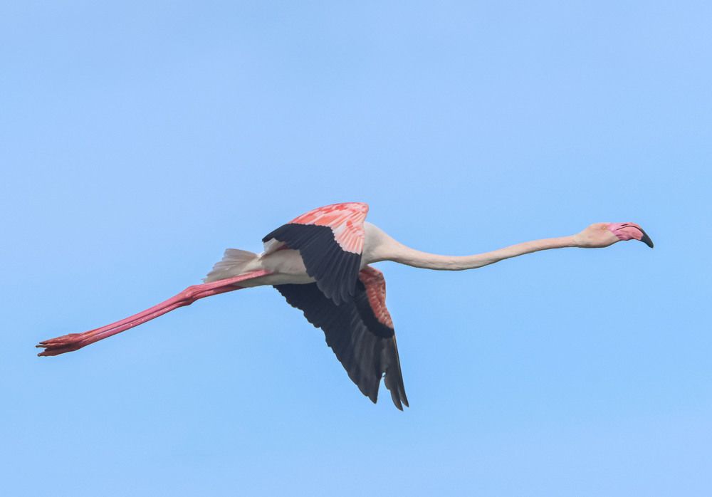 Photograph by Валентина Лопаткина