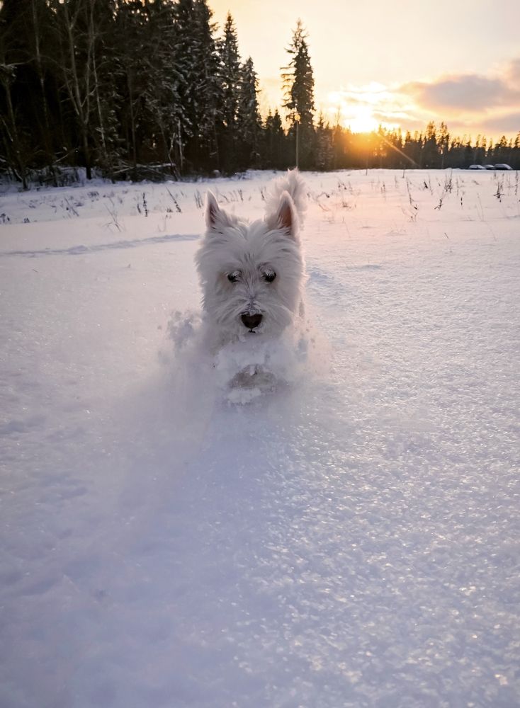 Photograph by Светлана Фоменко