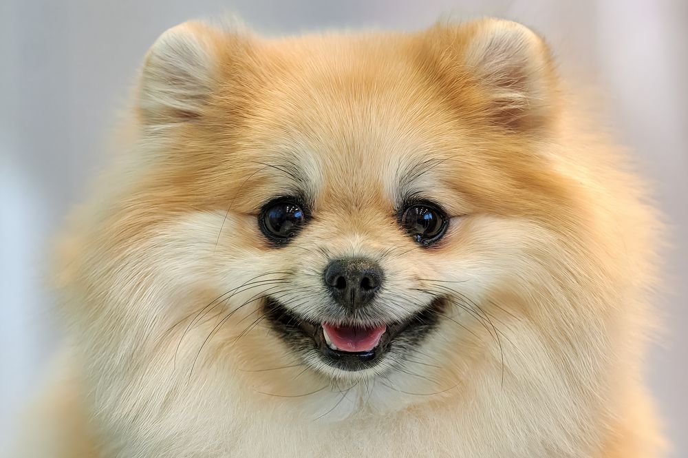 Photograph by Фатыхов Динар