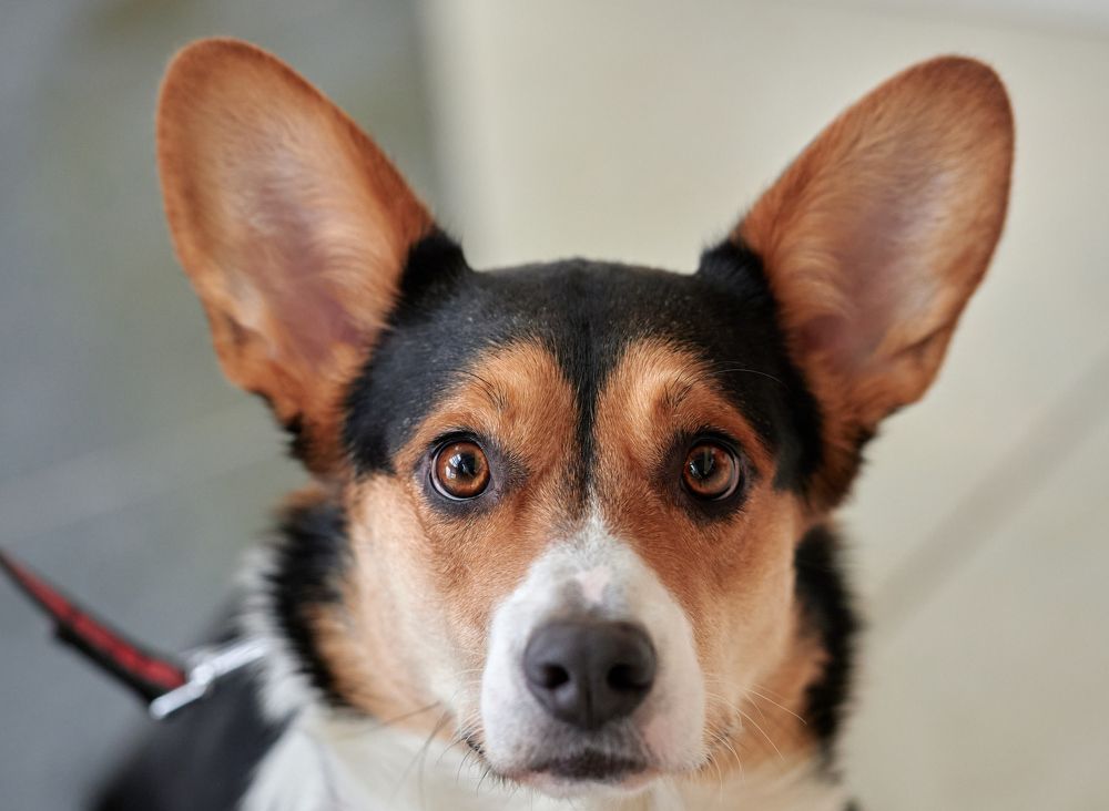 Photograph by Фатыхов Динар