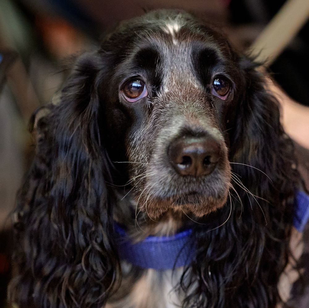 Photograph by Фатыхов Динар