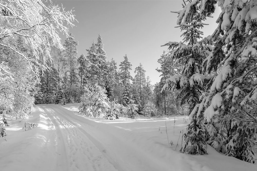 Photograph by Владимир Архипов