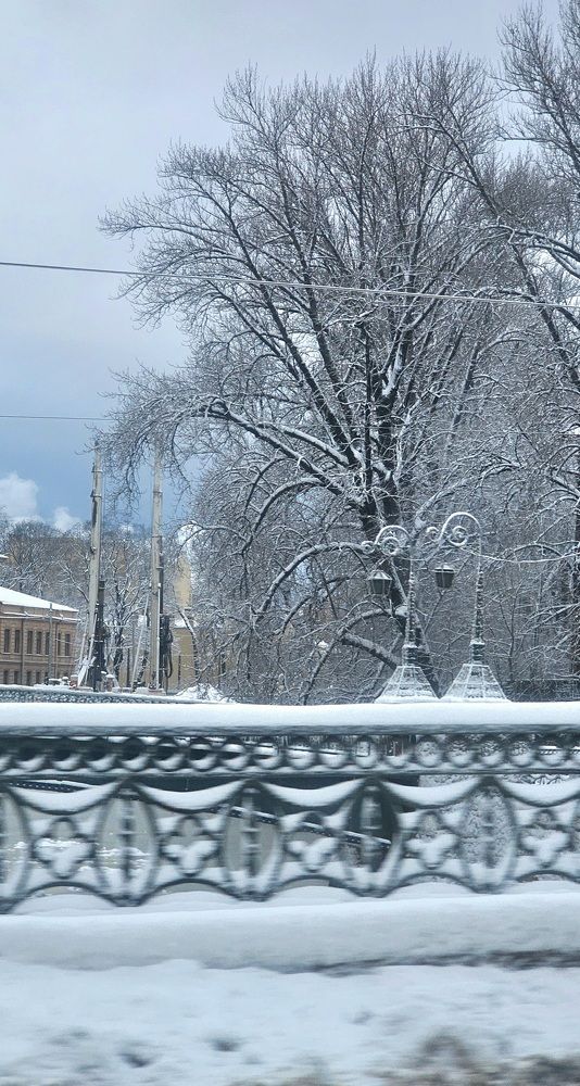 Фотография автора Наталья Законова