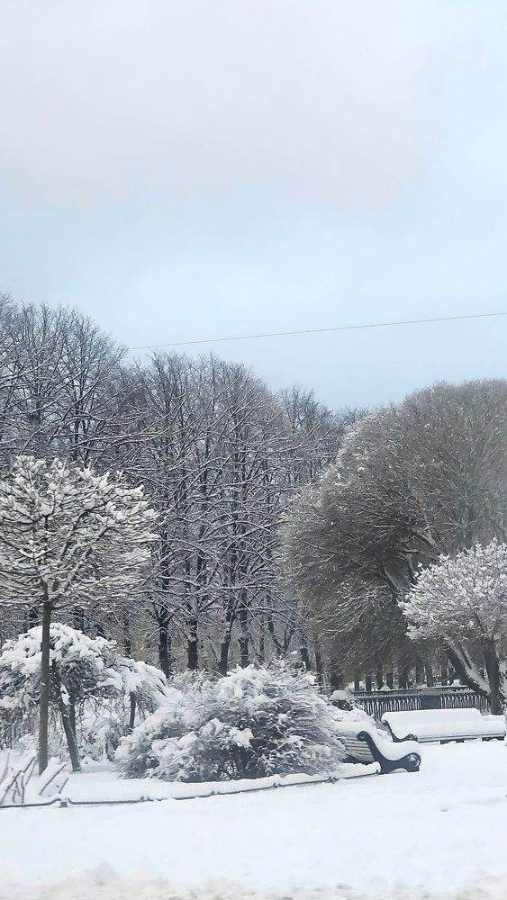 Фотография автора Наталья Законова