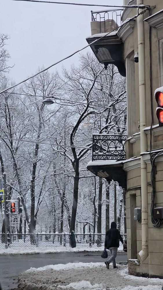 Фотография автора Наталья Законова