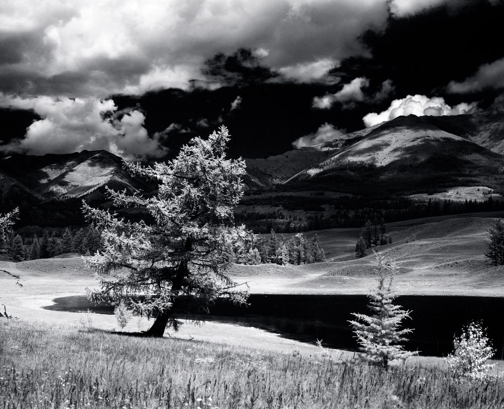 Фотография автора Igor Ferrum