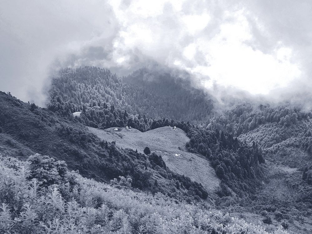 Photograph by Максим Сундеев