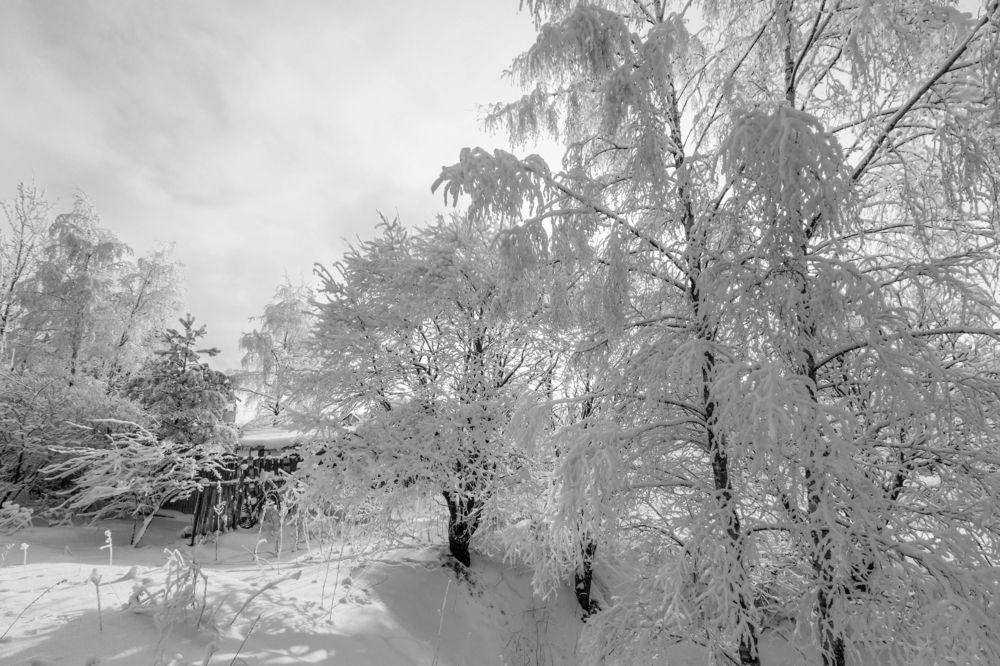 Photograph by Михаил Бояркин