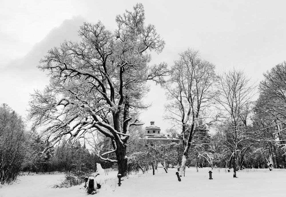 Photograph by Михаил Бояркин