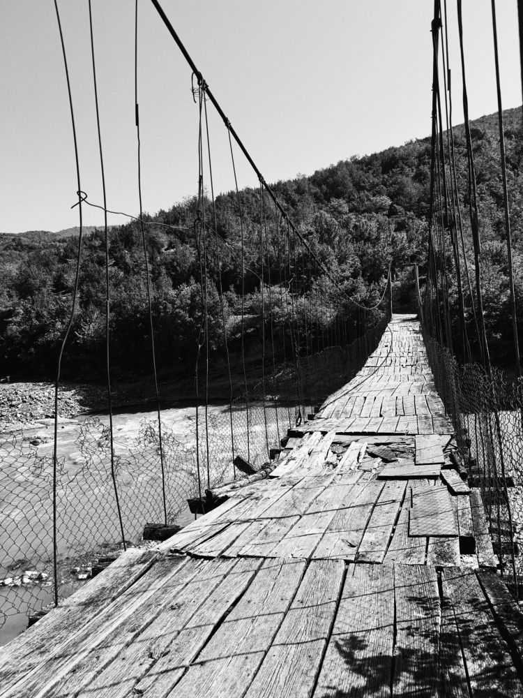 Фотография автора Елена Поживилко