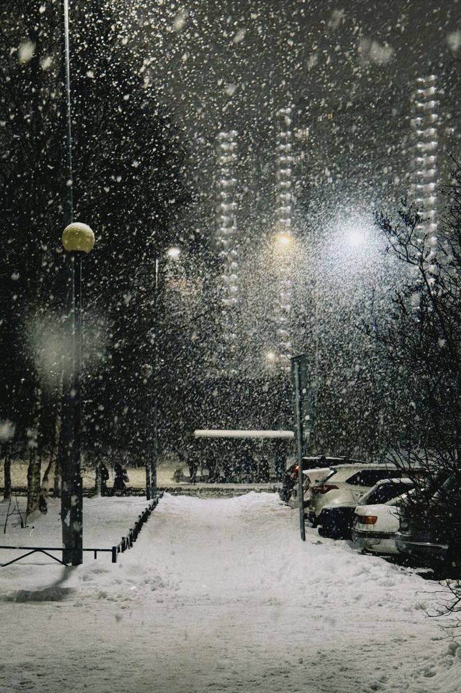 Photograph by света сергеева