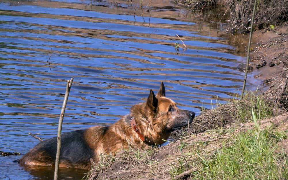 Photograph by Цветков Сергей