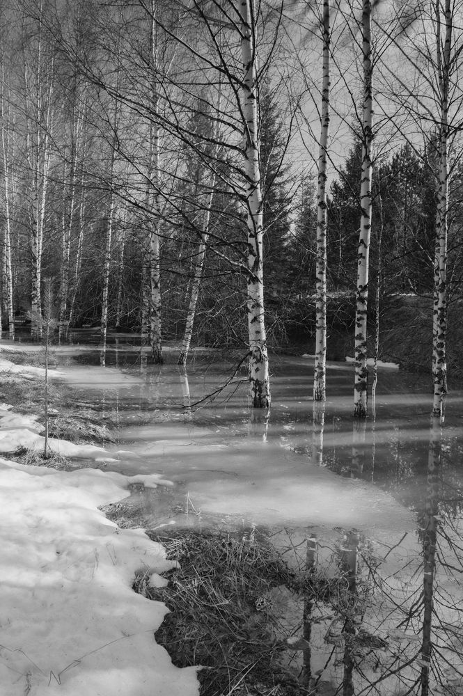 Photograph by Николай Путинцев