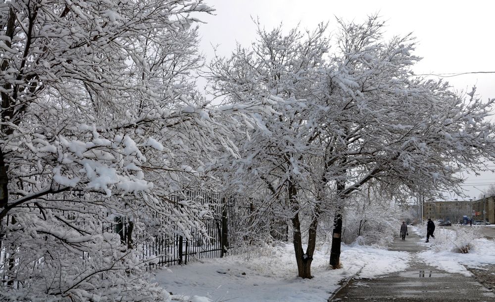 После снегопада.