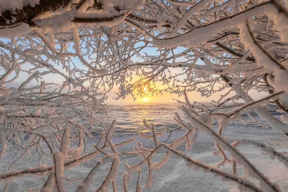 Фотография автора Alexander Pashenichev