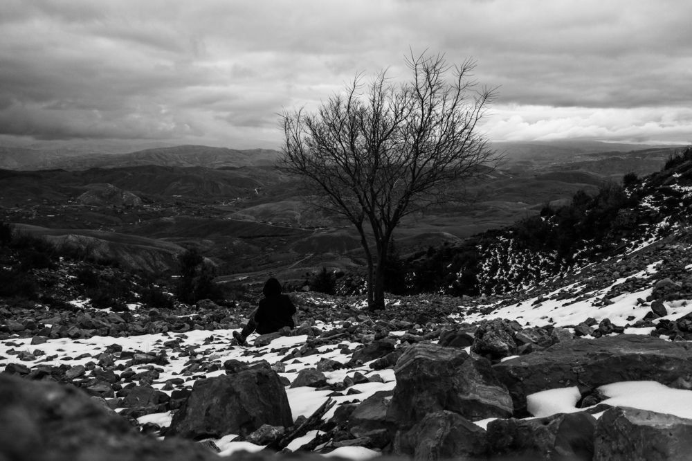 Alone tree alone person