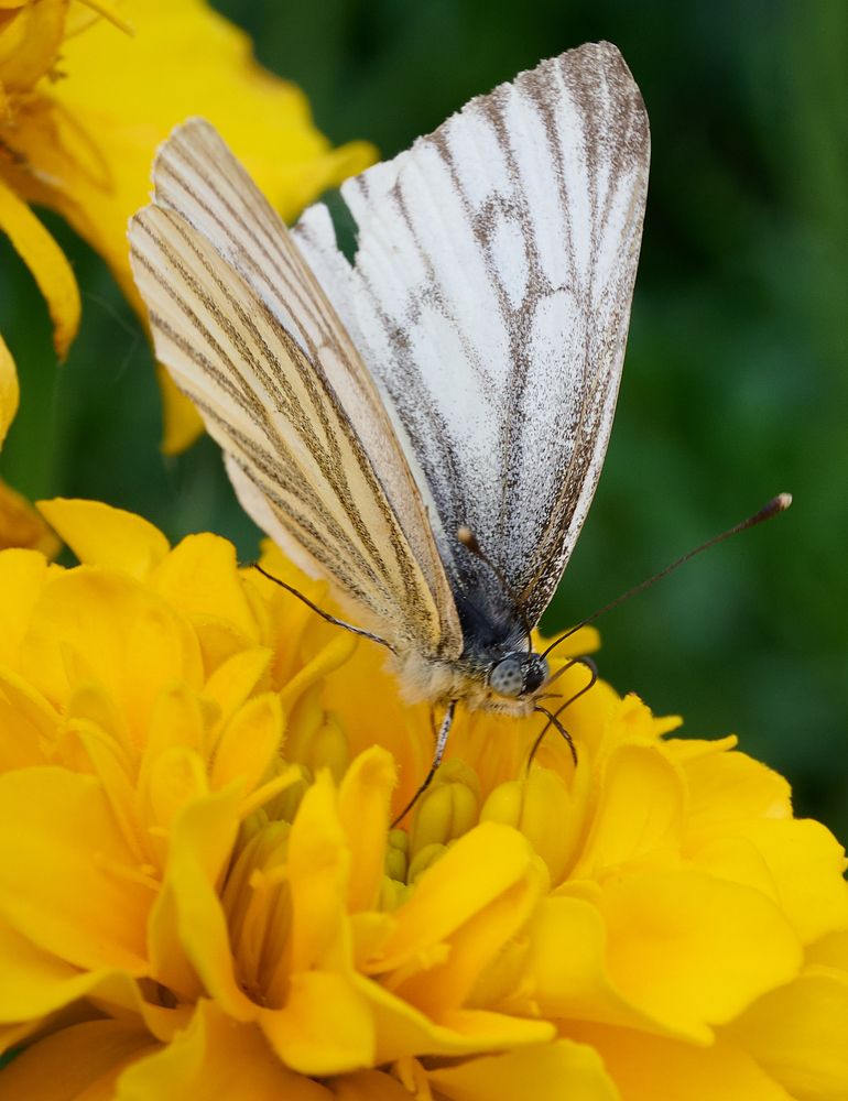 Photograph by Самосудов Рустам